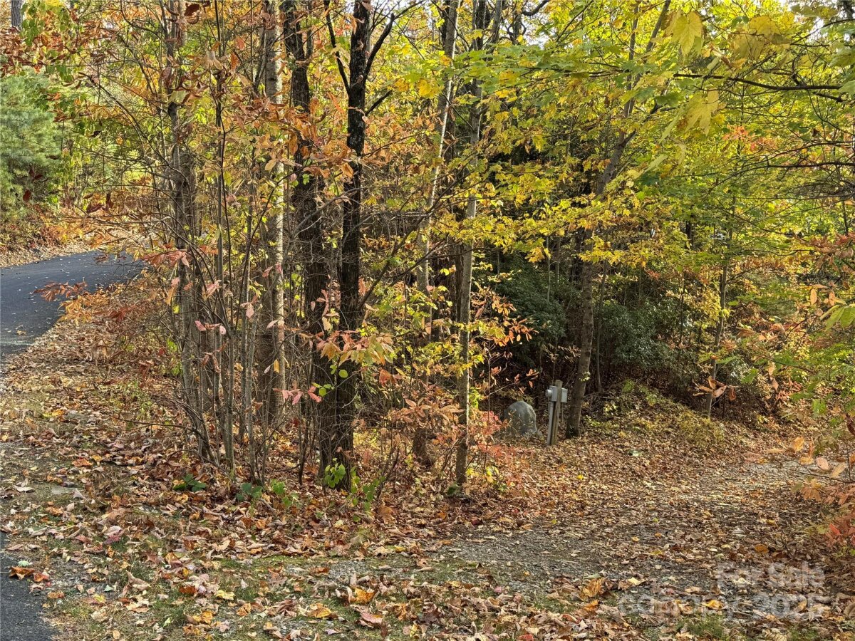 Avery Creek 12 4317077l