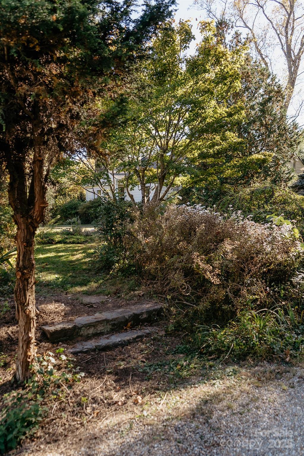 Kenilworth 4 4317525d