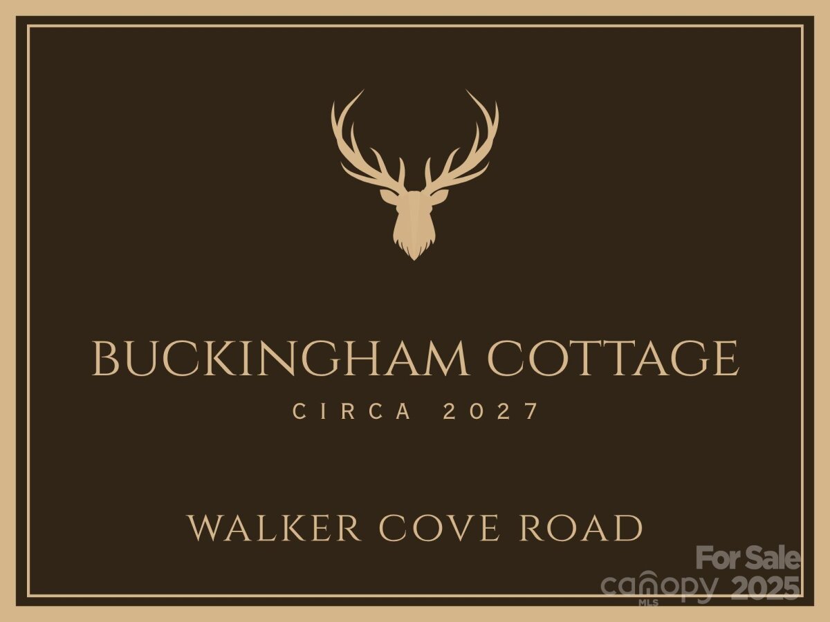 Black Mountain 2 4317534b