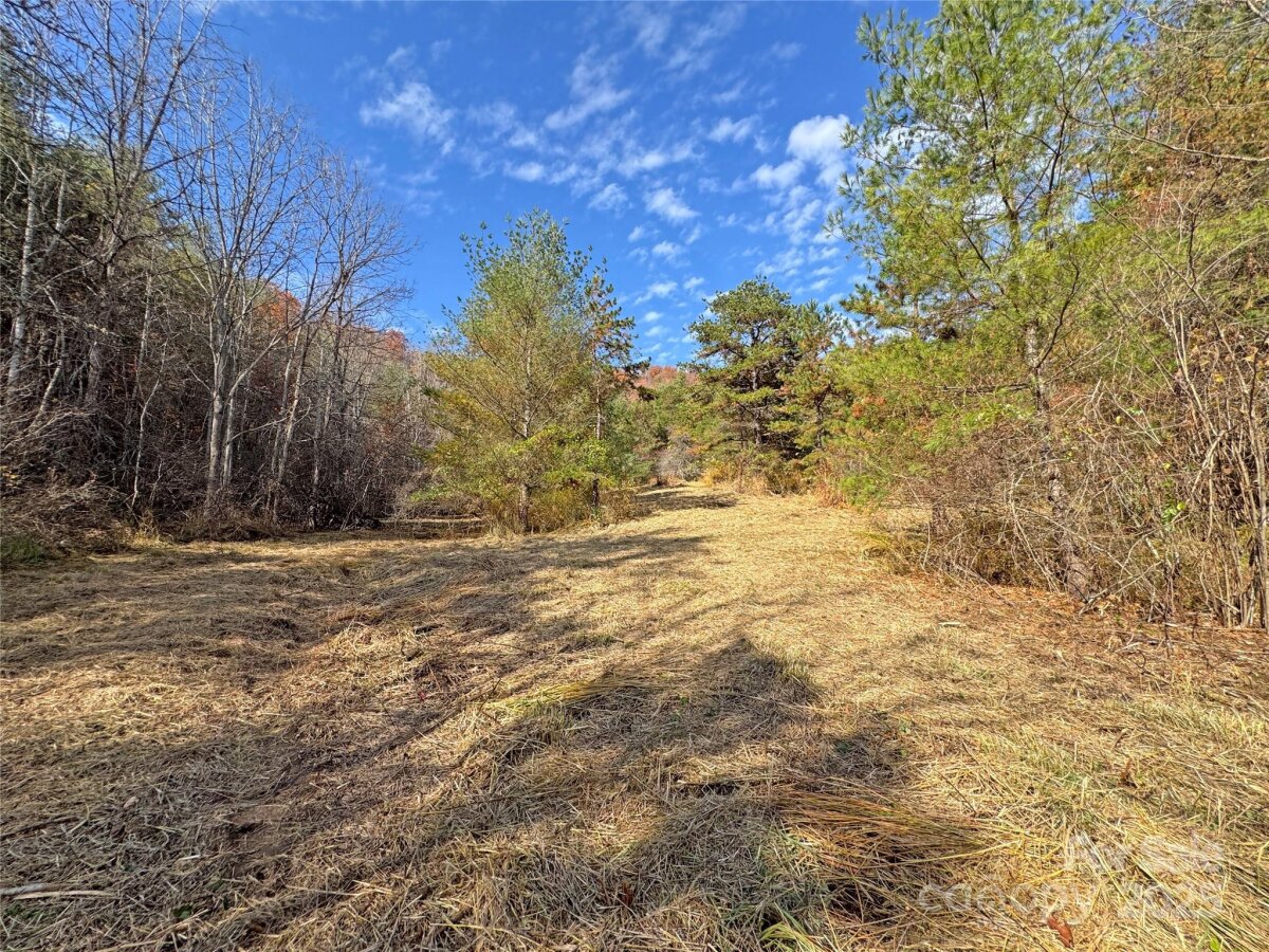 Mars Hill 3 4320611c