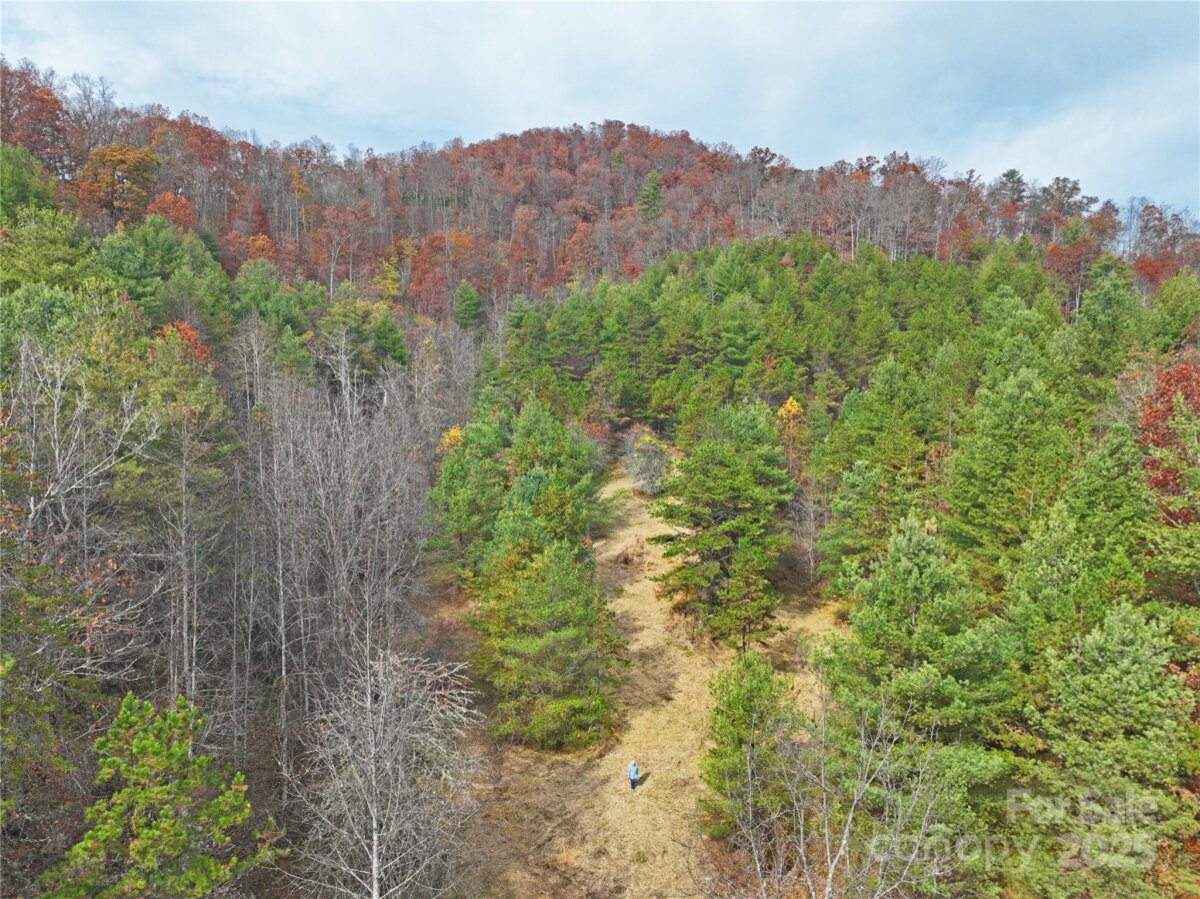 Mars Hill 7 4320611g