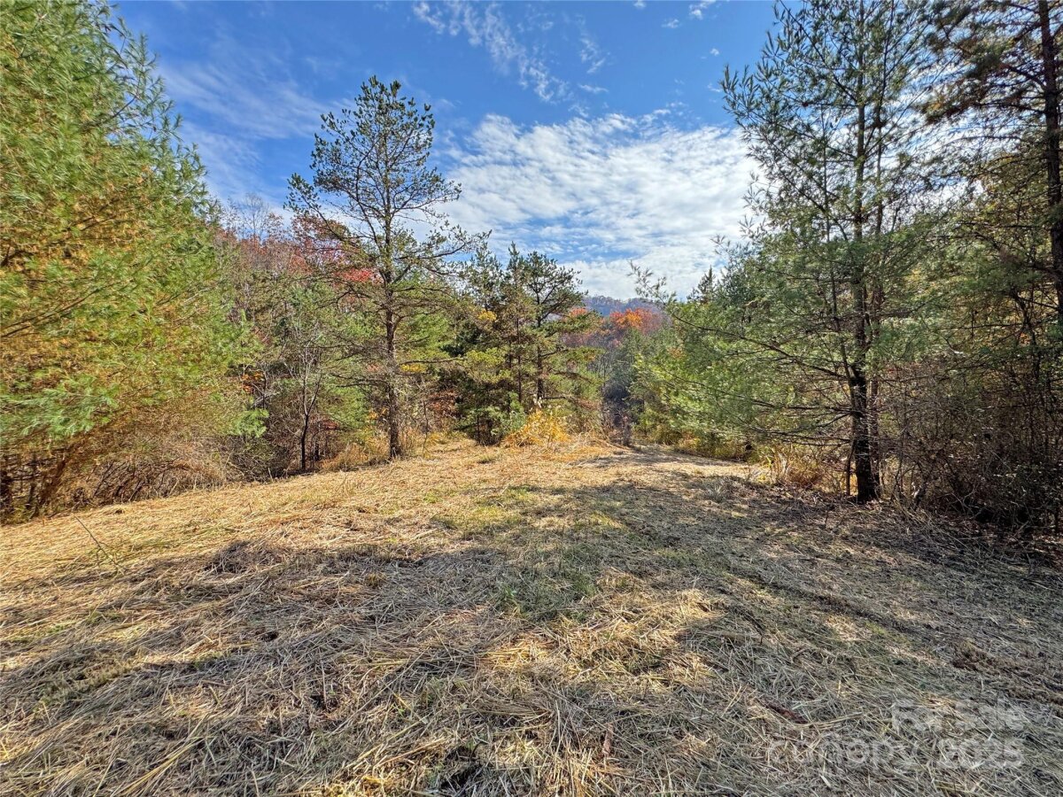 Mars Hill 8 4320611h