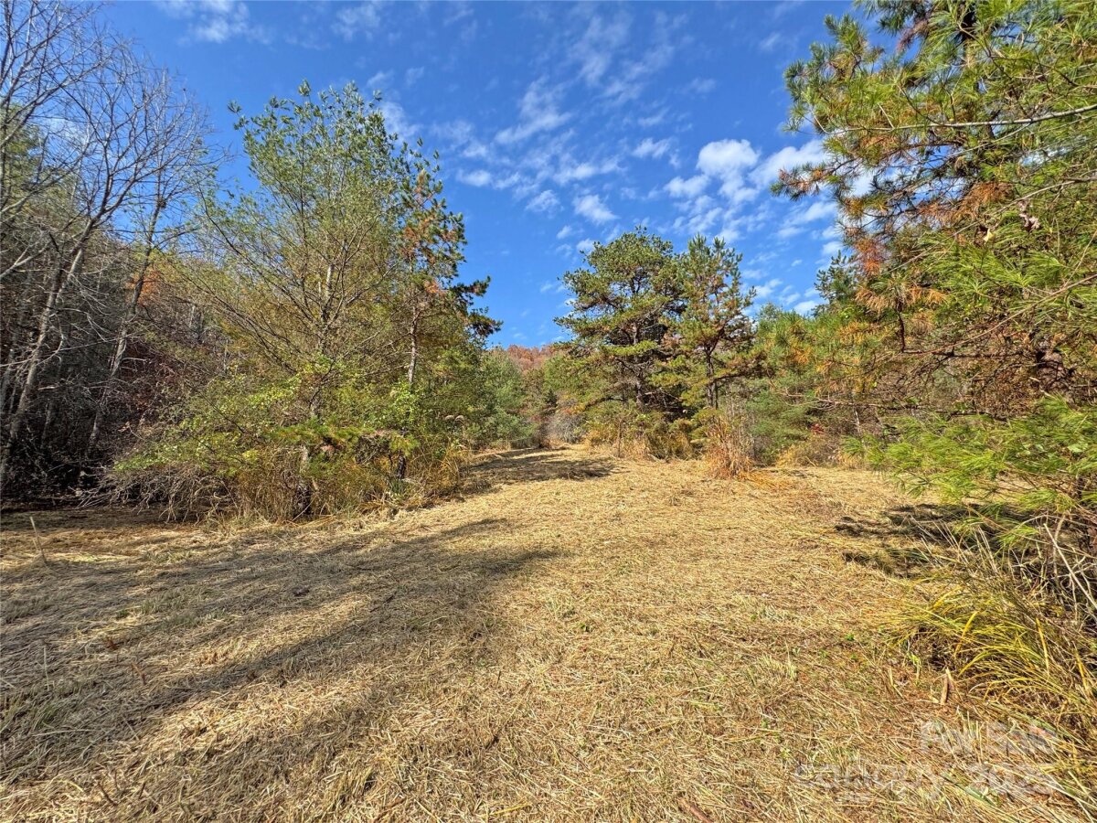 Mars Hill 10 4320611j