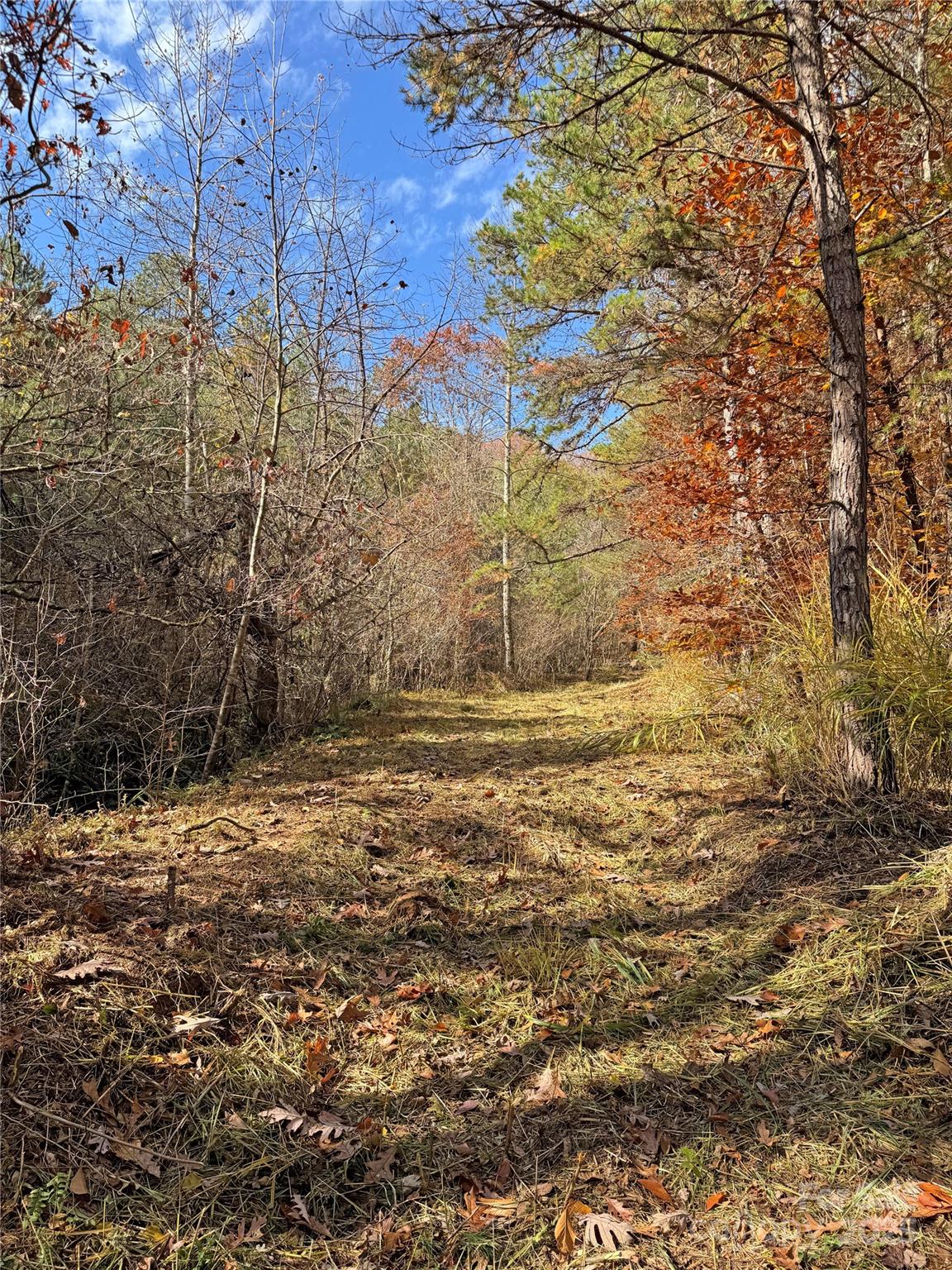 Mars Hill 11 4320611k