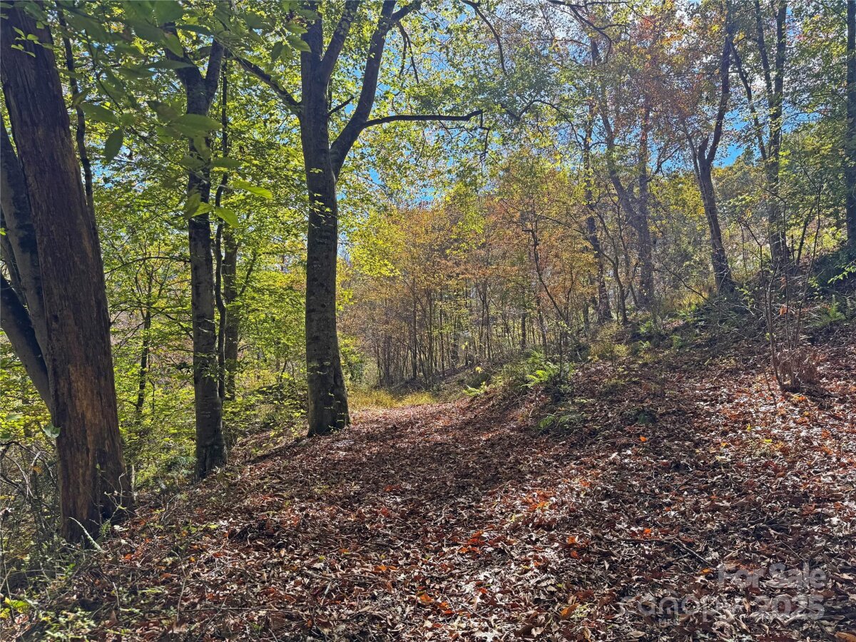 Mars Hill 12 4320611l