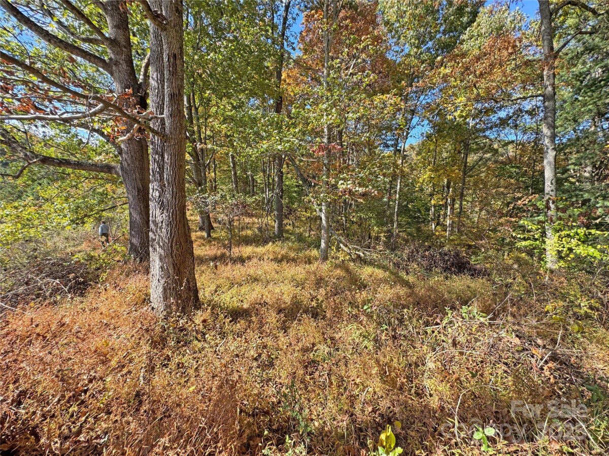 Mars Hill 13 4320611m