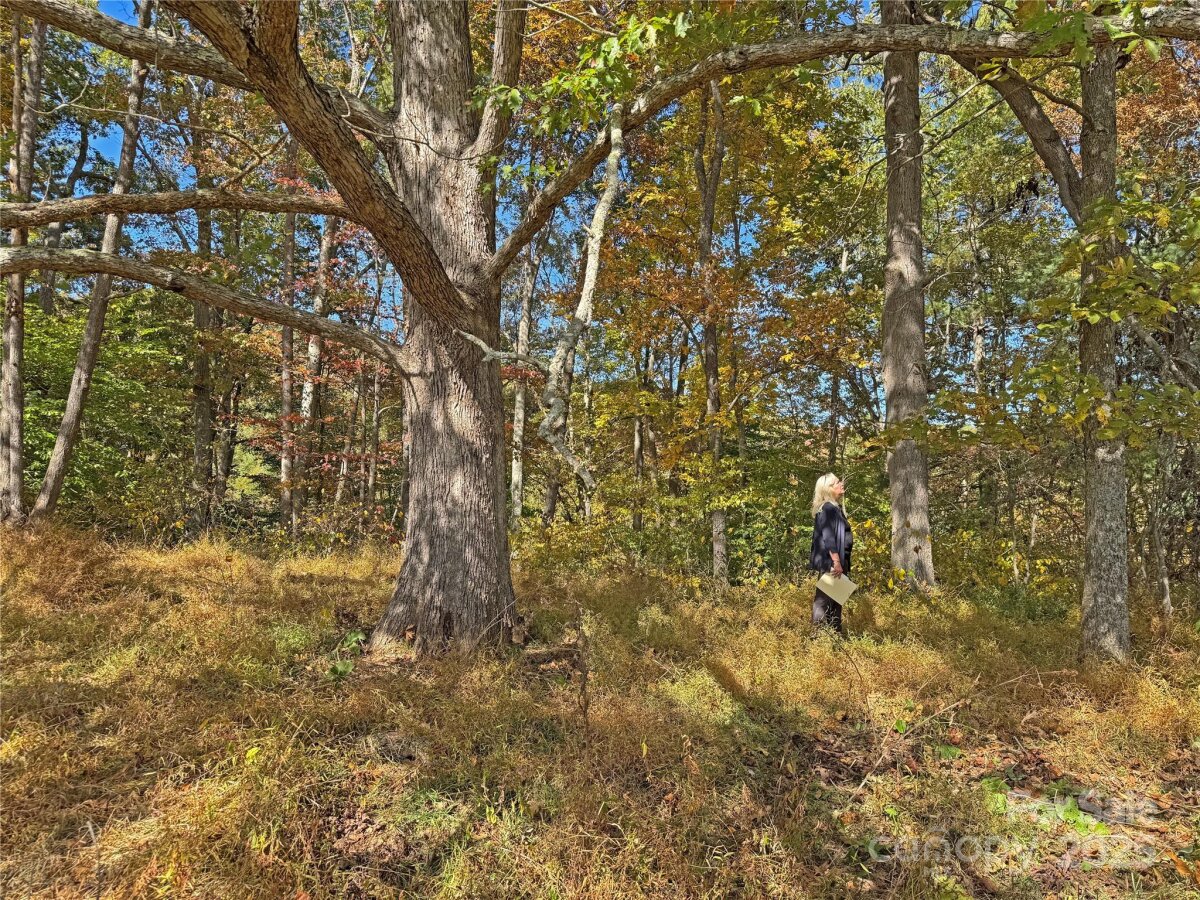 Mars Hill 14 4320611n