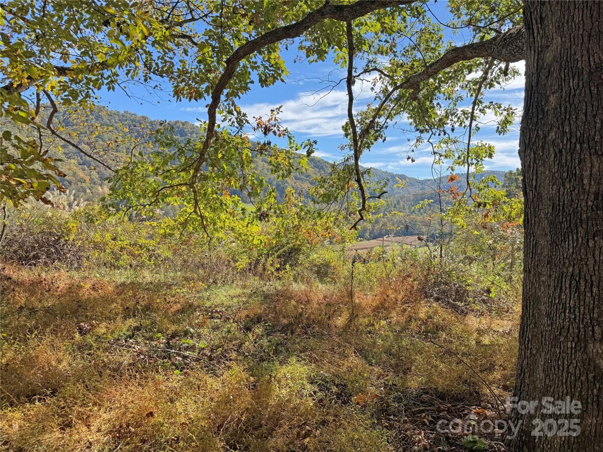 Mars Hill 15 4320611o