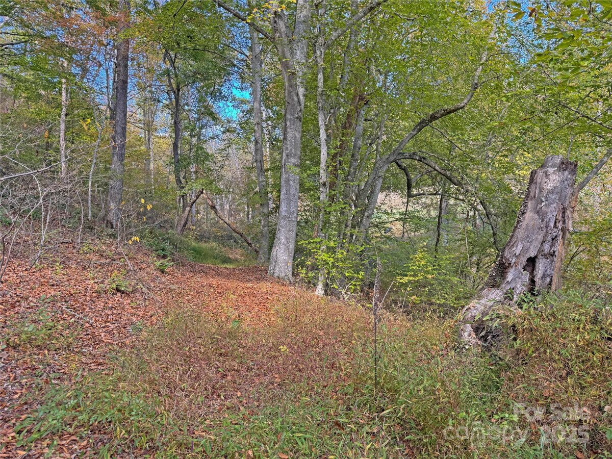 Mars Hill 18 4320611r