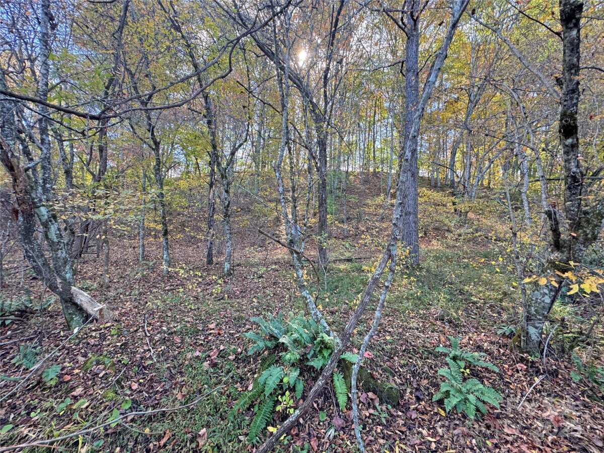 Mars Hill 25 4320611y