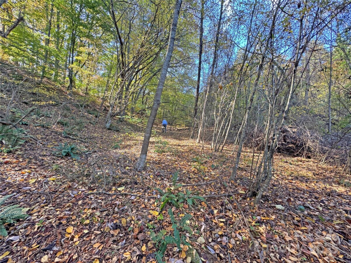 Mars Hill 26 4320611z