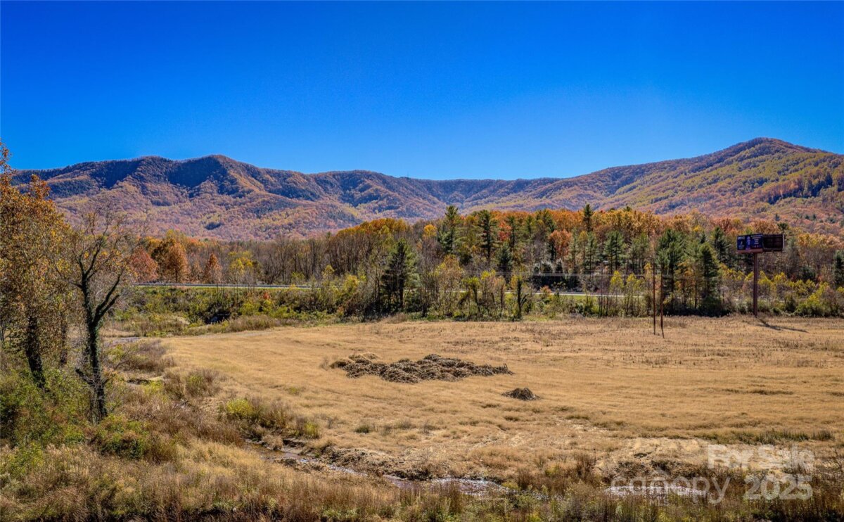 Black Mountain 4 4321165d