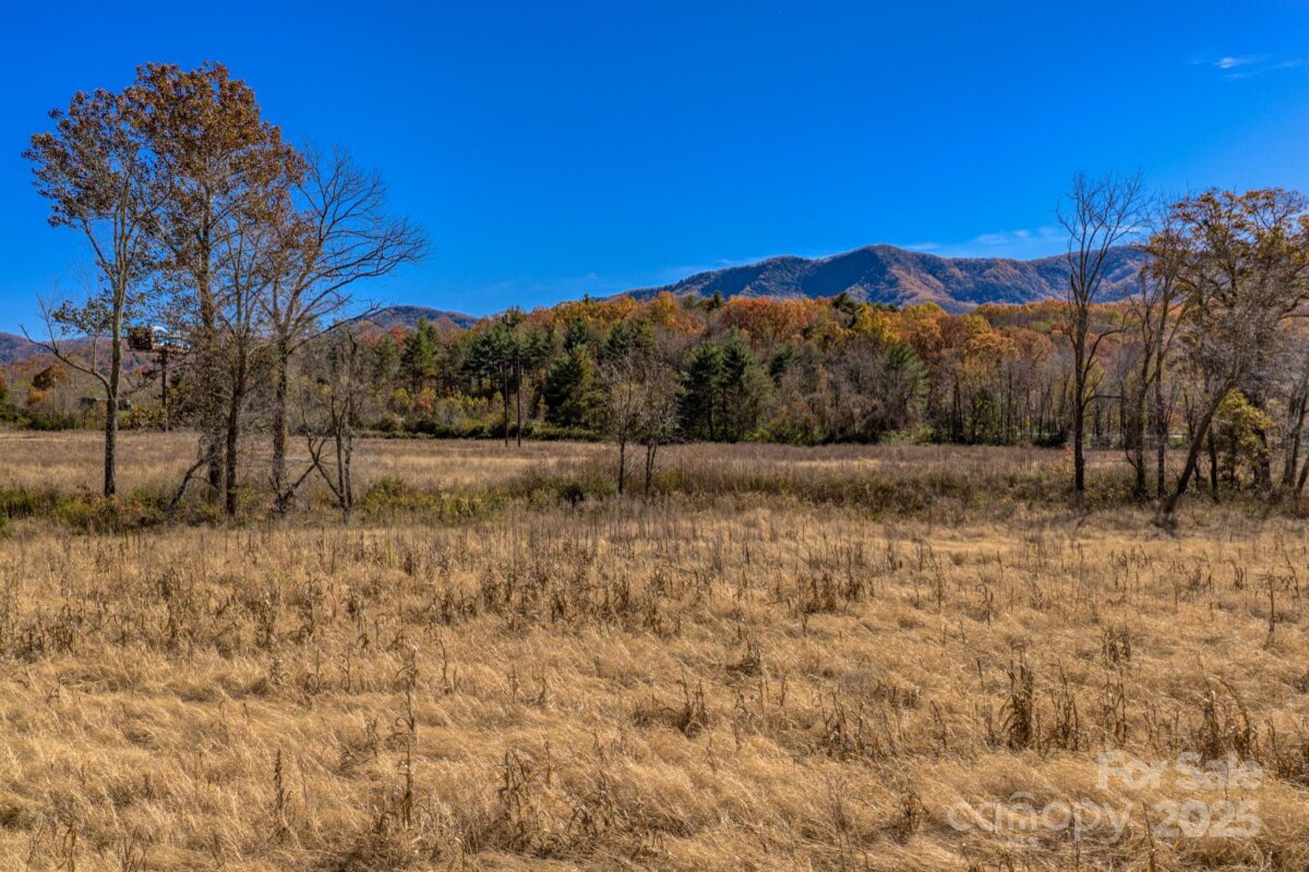 Black Mountain 6 4321165f