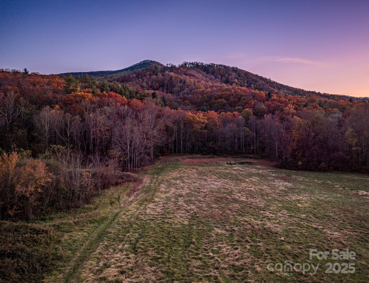 Black Mountain 6 4321169f