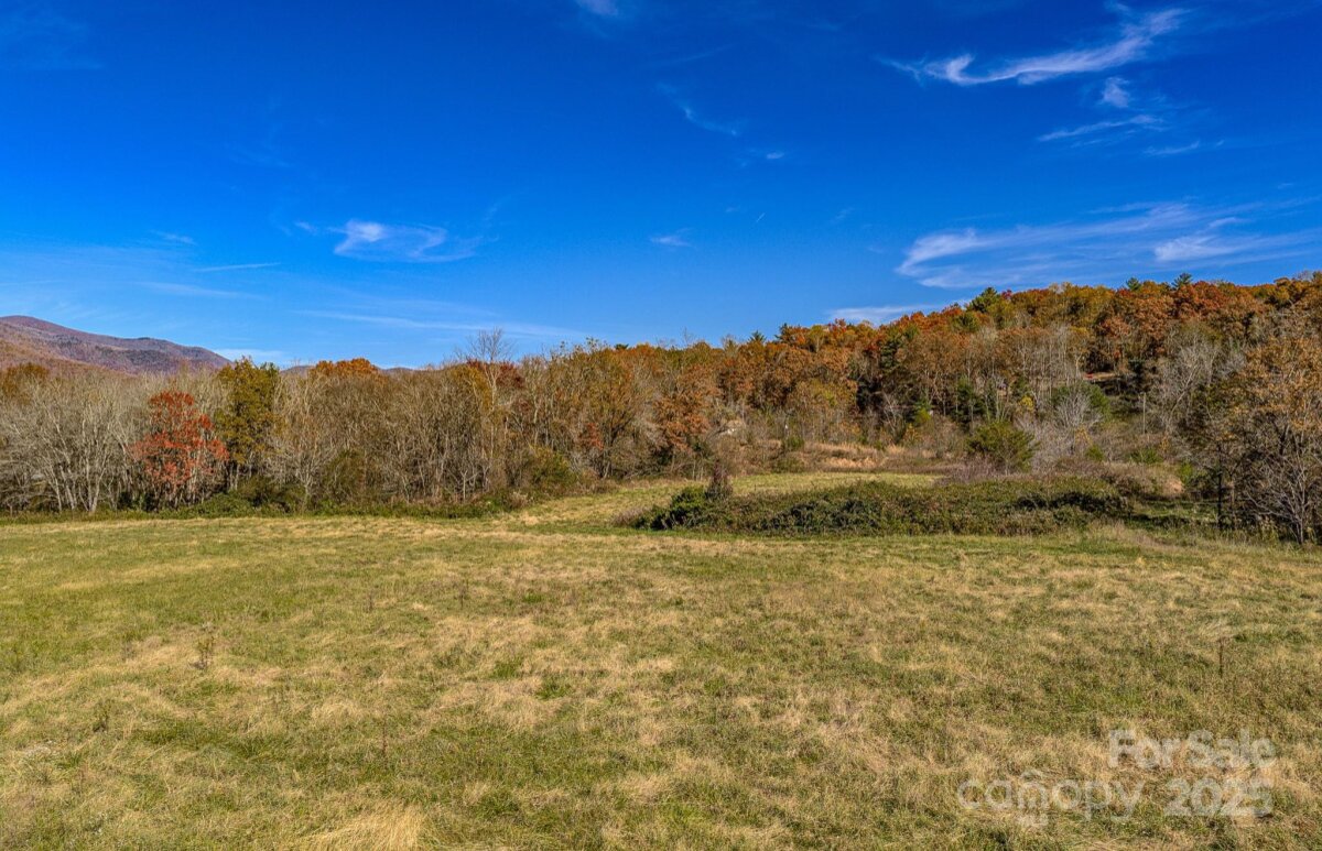 Black Mountain 7 4321169g