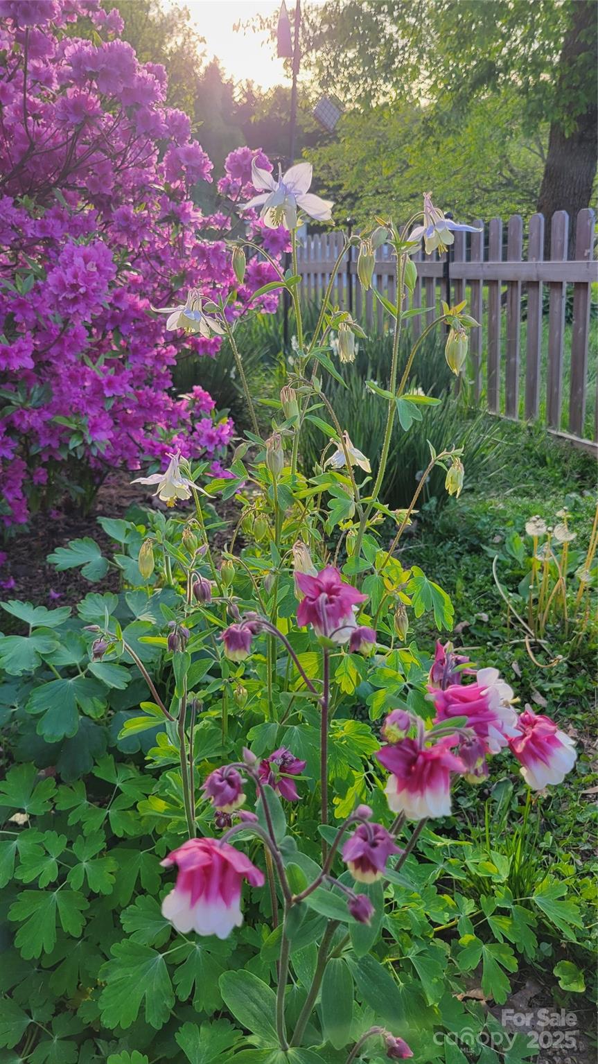 Fletcher 25 4321217y