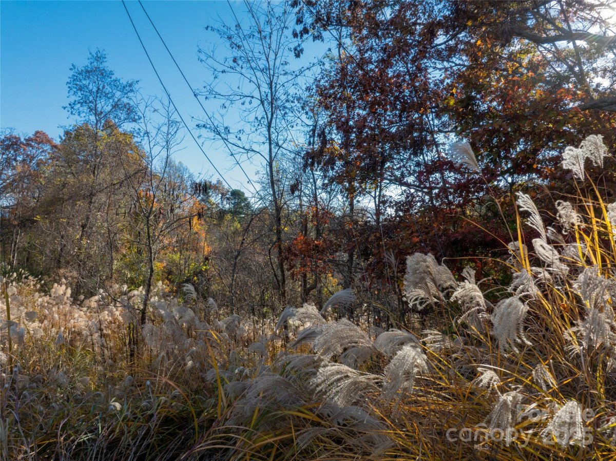 Mars Hill 11 4321358k