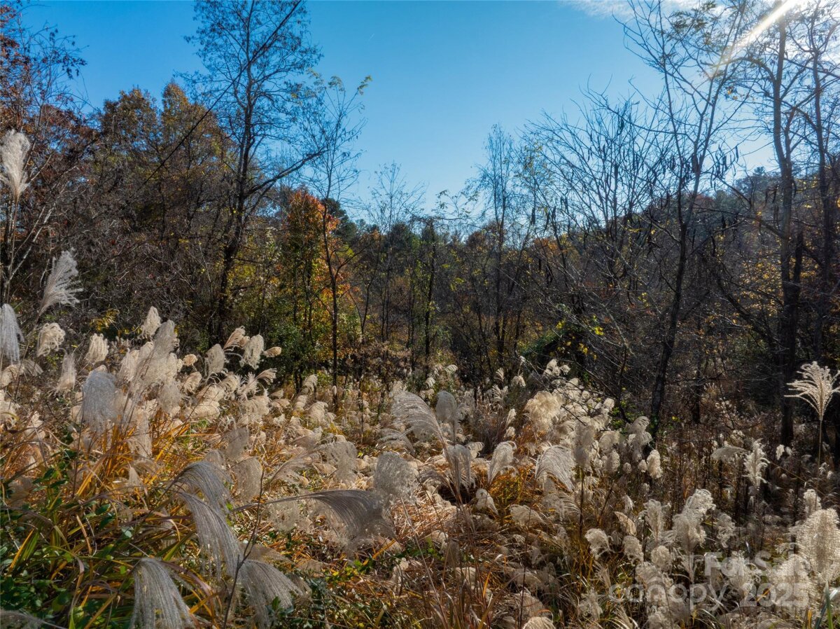 Mars Hill 12 4321358l