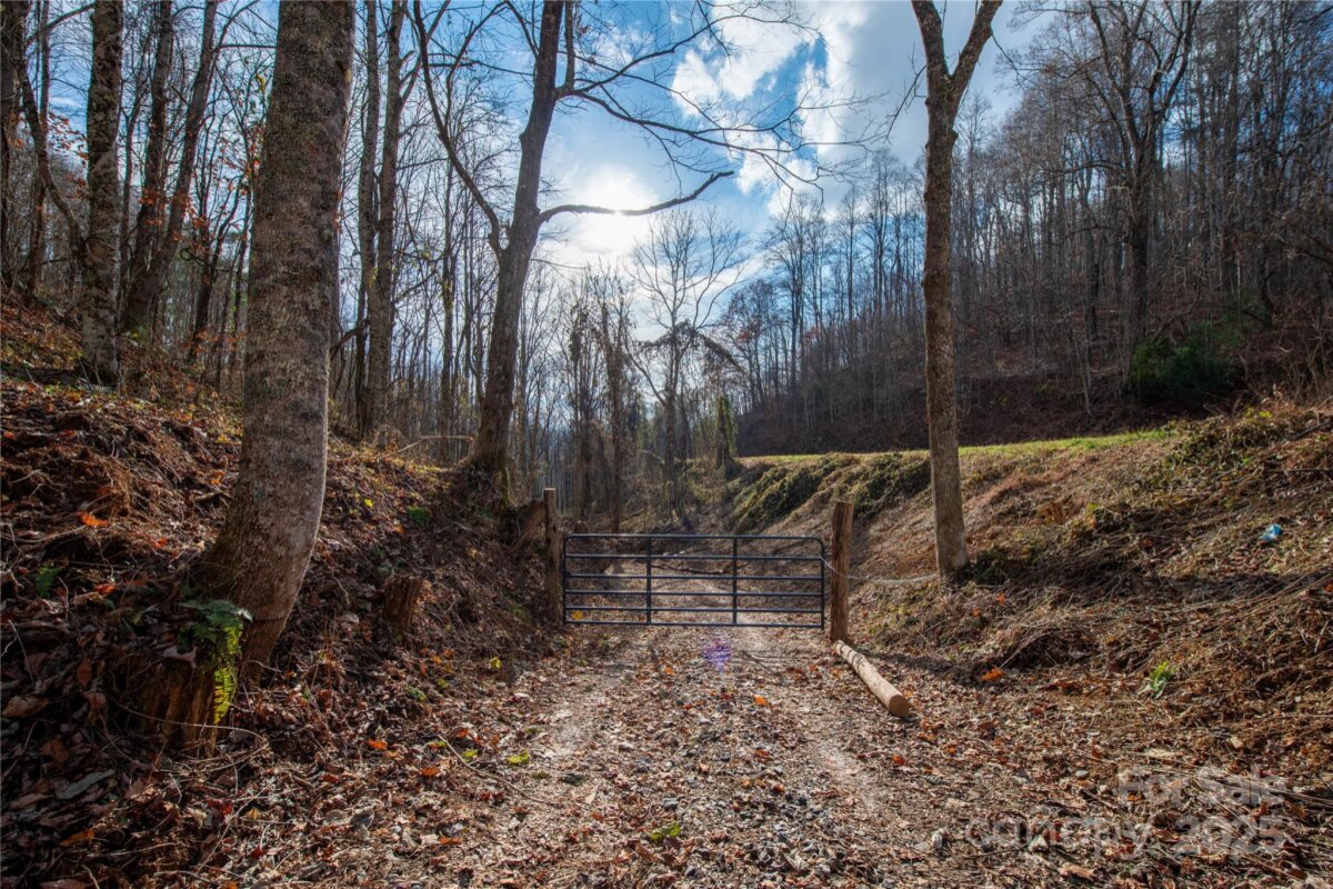 Marshall 12 4321993l