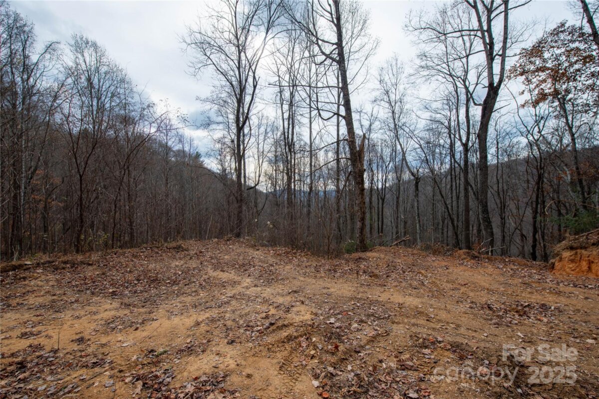 Marshall 15 4321993o