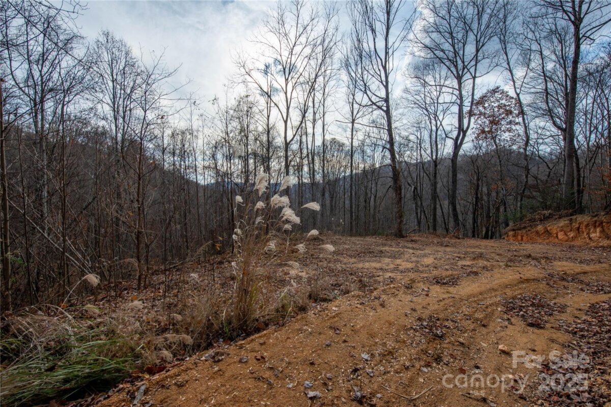 Marshall 16 4321993p