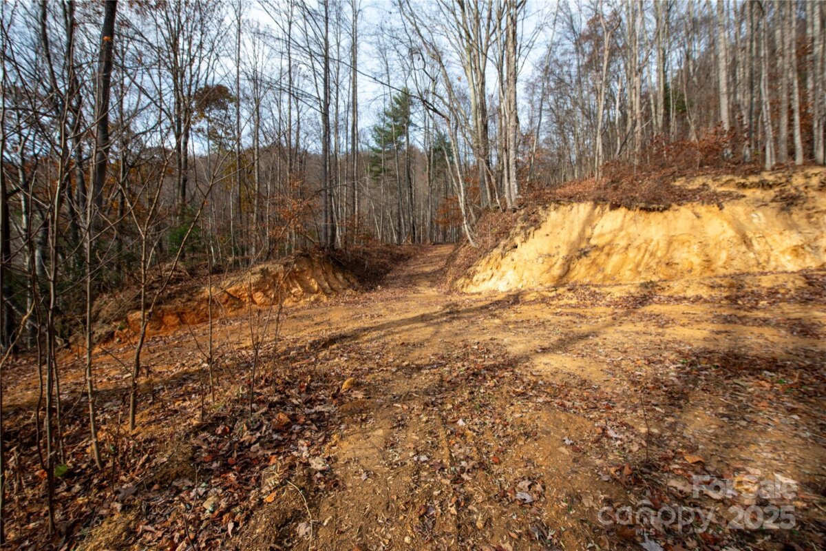 Marshall 17 4321993q