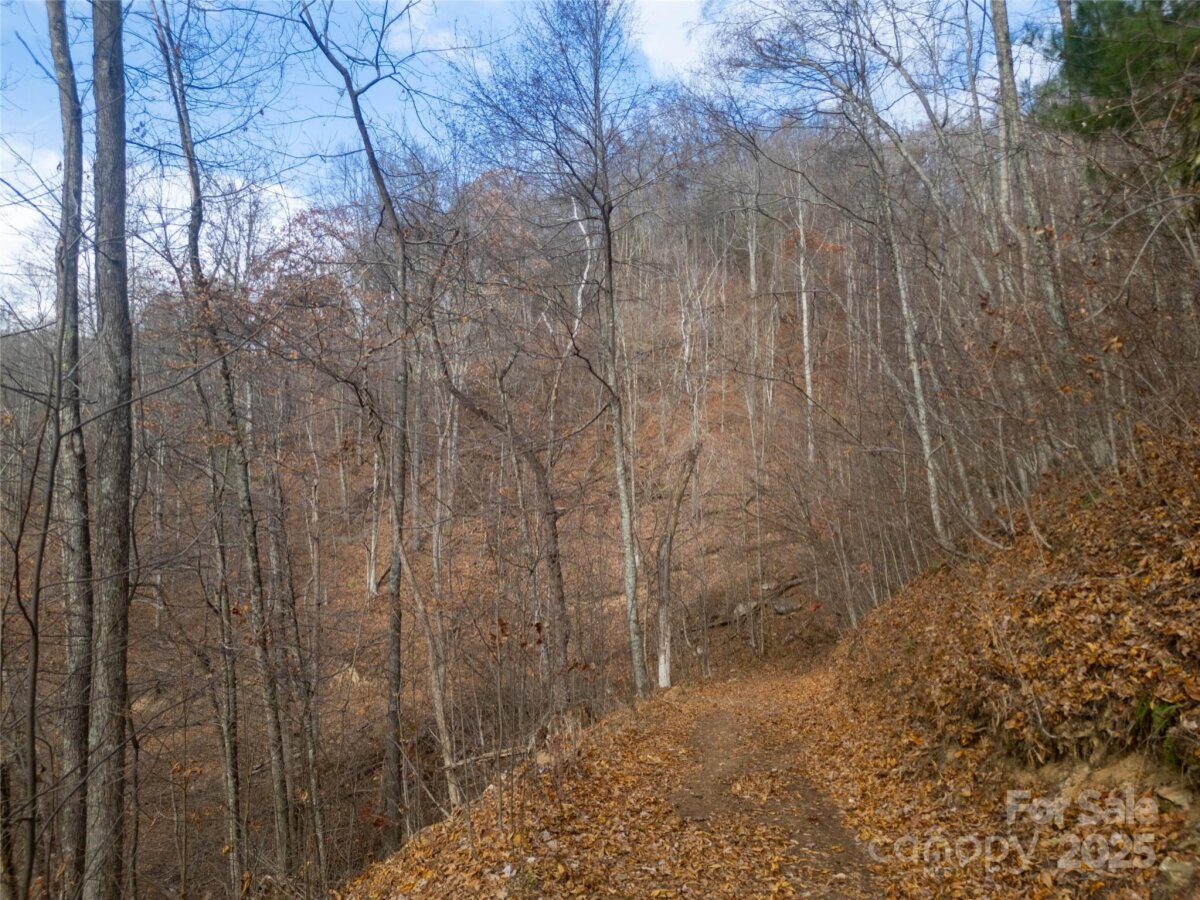 Marshall 18 4321993r