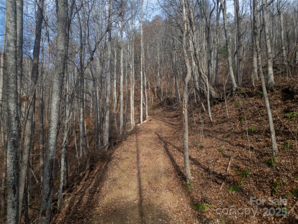 Marshall 19 4321993s