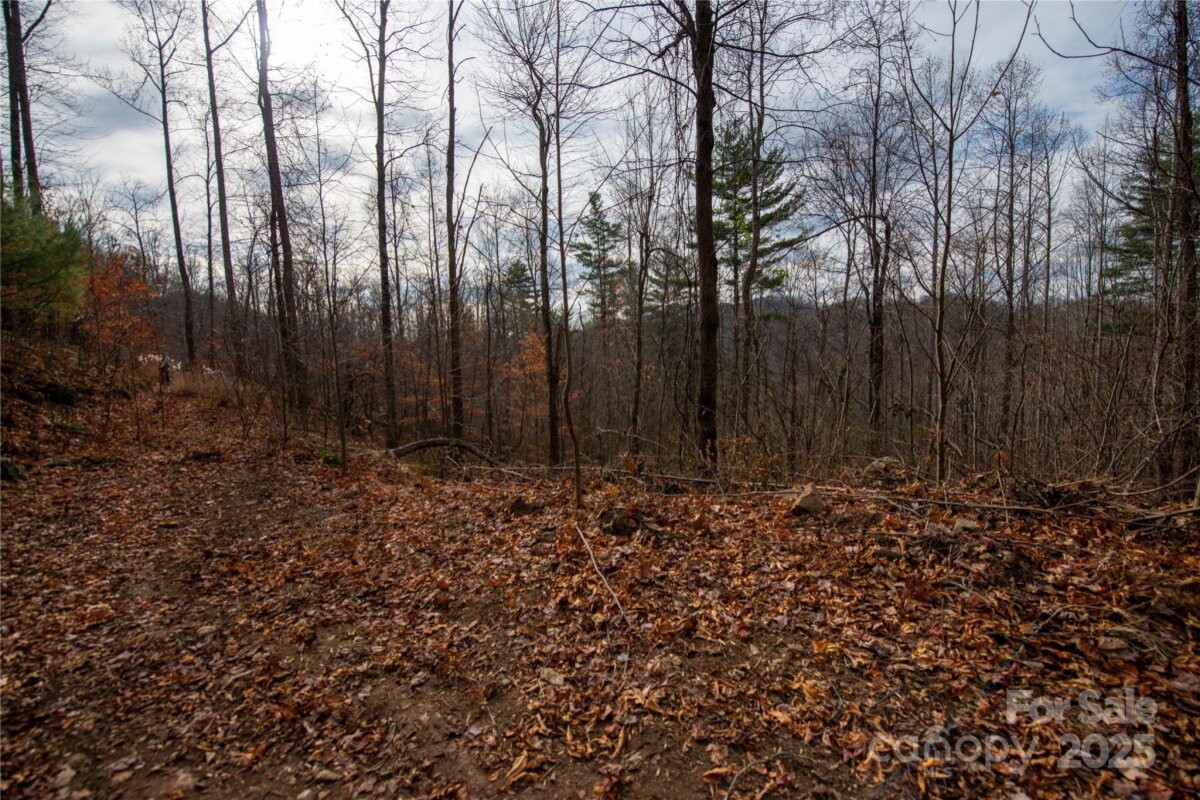 Marshall 21 4321993u