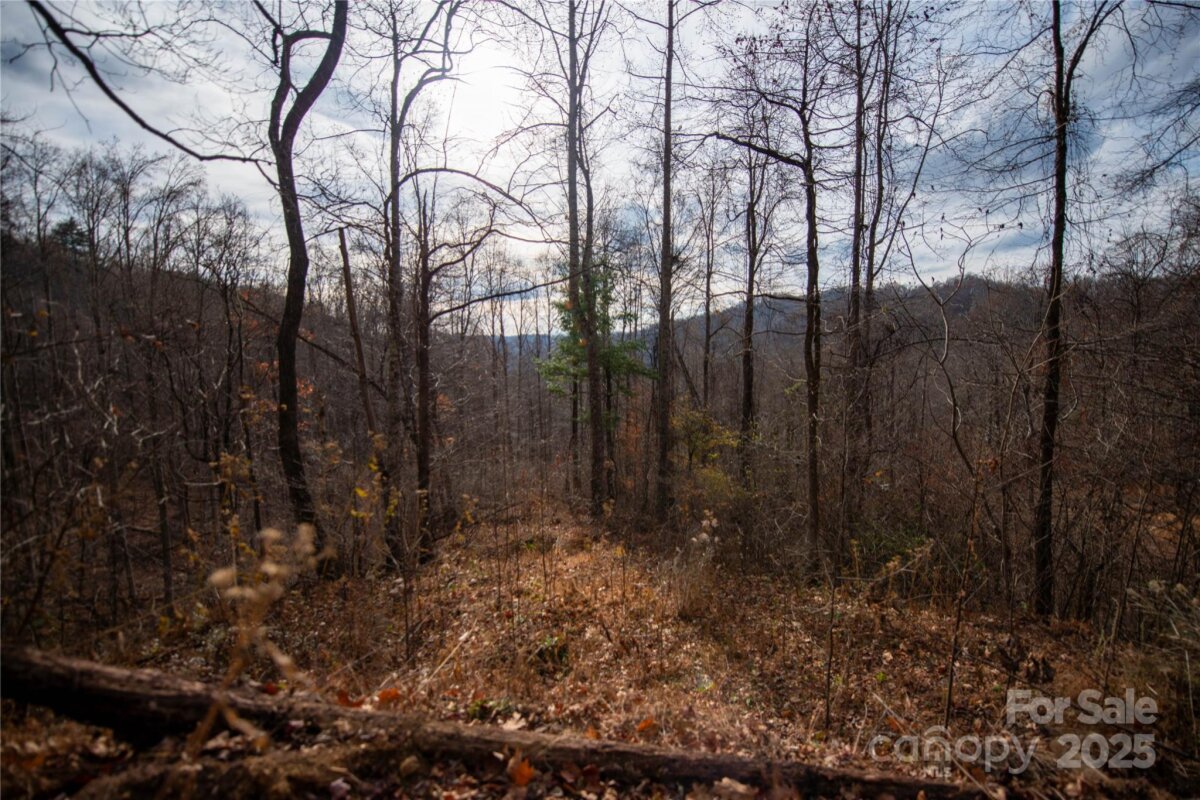 Marshall 23 4321993w