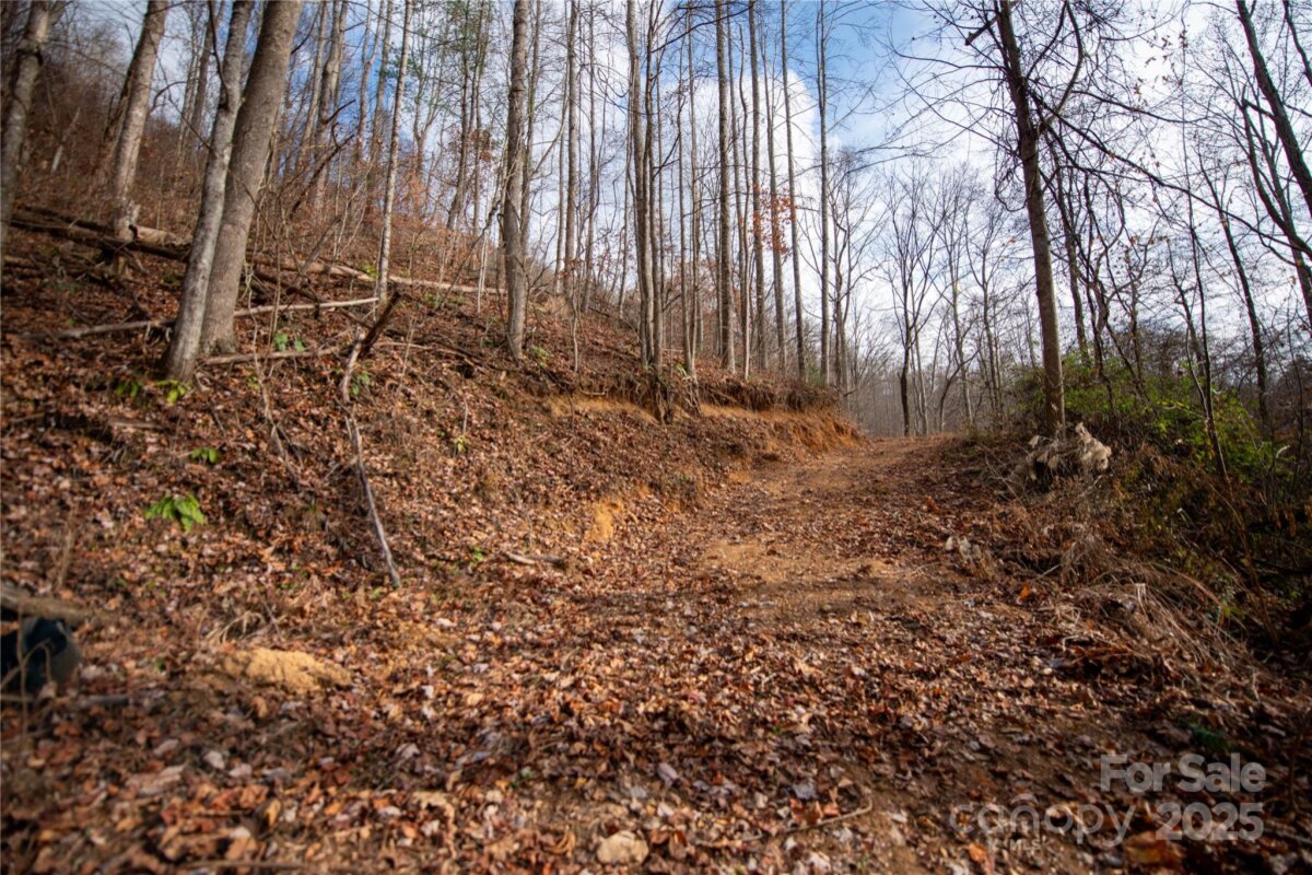 Marshall 25 4321993y