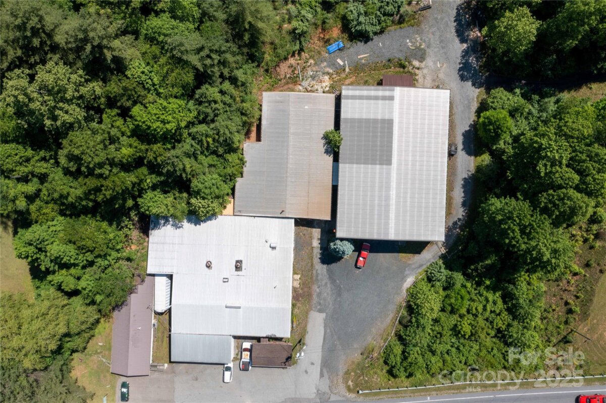 Spruce Pine 3 4324356c