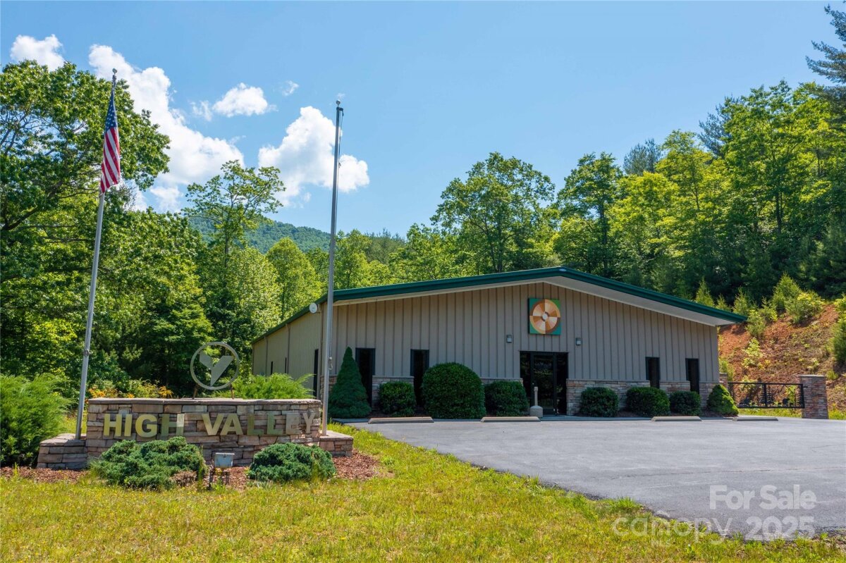Spruce Pine 5 4324356e
