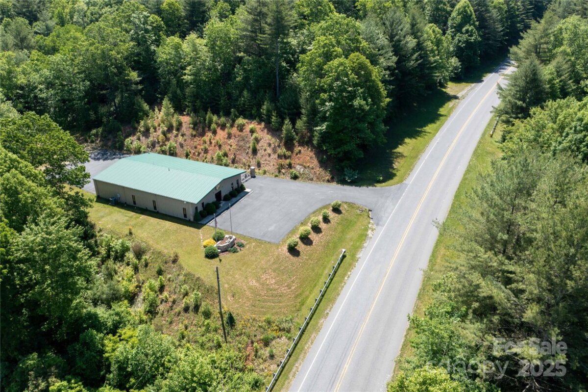 Spruce Pine 7 4324356g