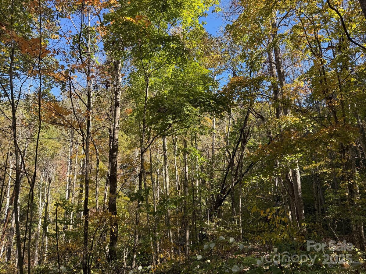 Mars Hill 6 4324762f