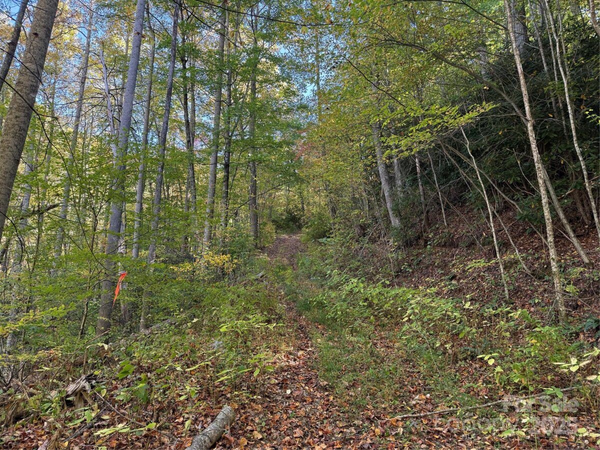 Mars Hill 7 4324762g