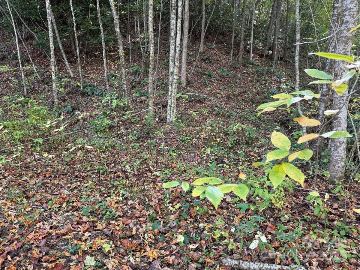 Mars Hill 8 4324762h