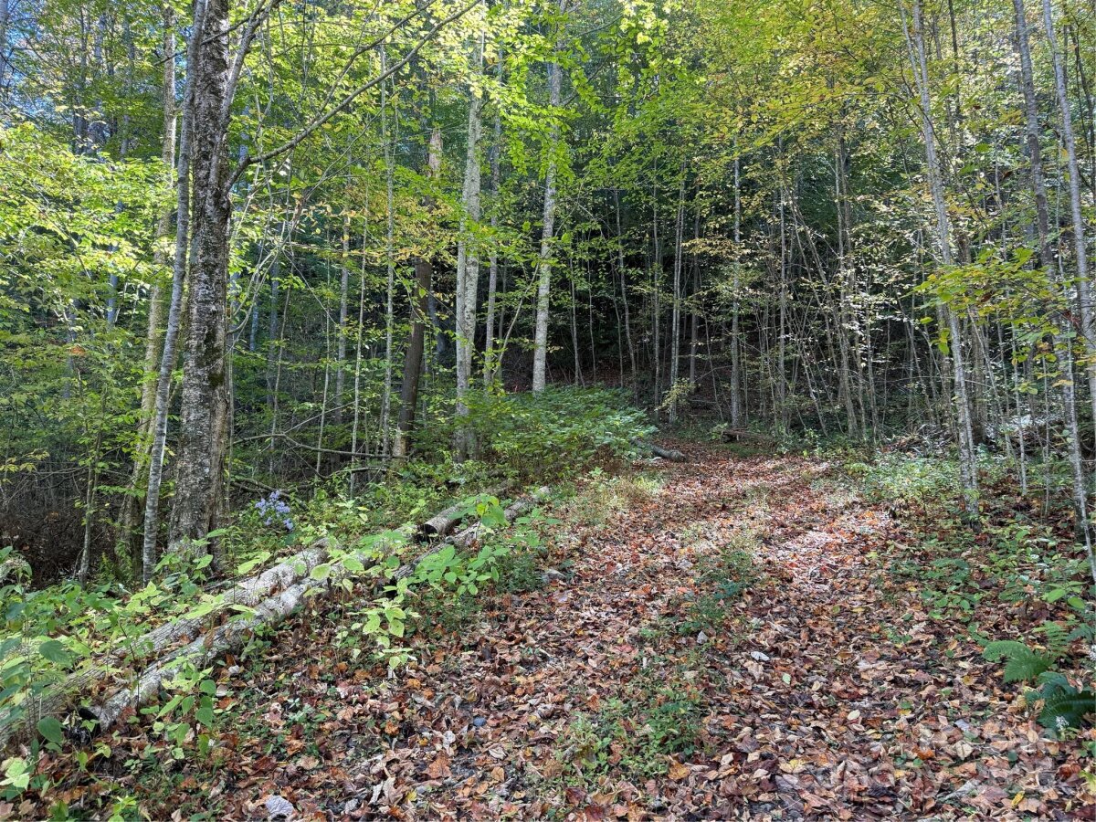 Mars Hill 9 4324762i