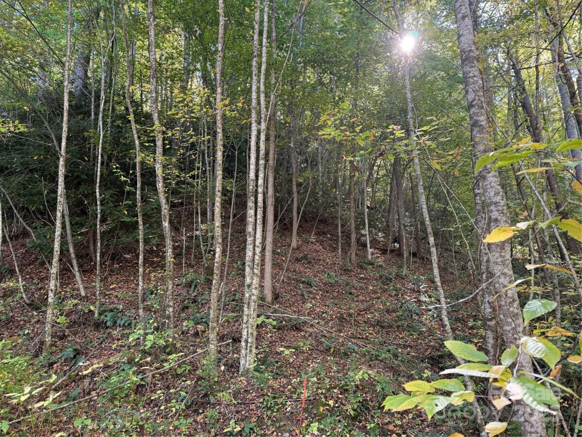 Mars Hill 10 4324762j