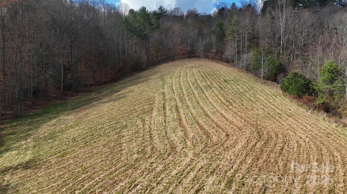 Marshall 10 4325219j