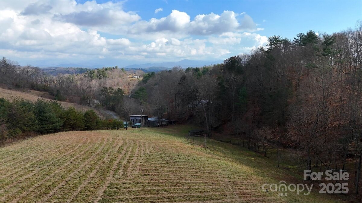 Marshall 12 4325219l