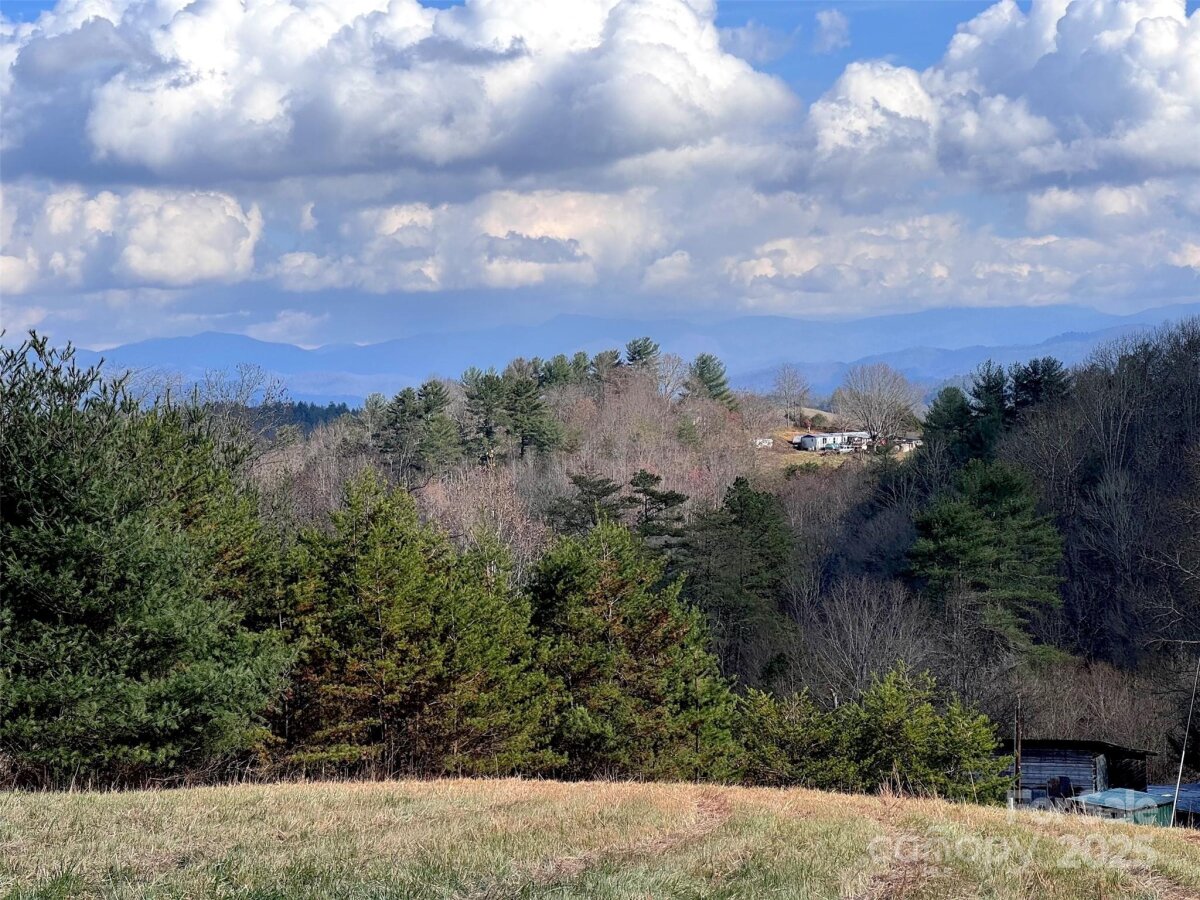 Marshall 13 4325219m