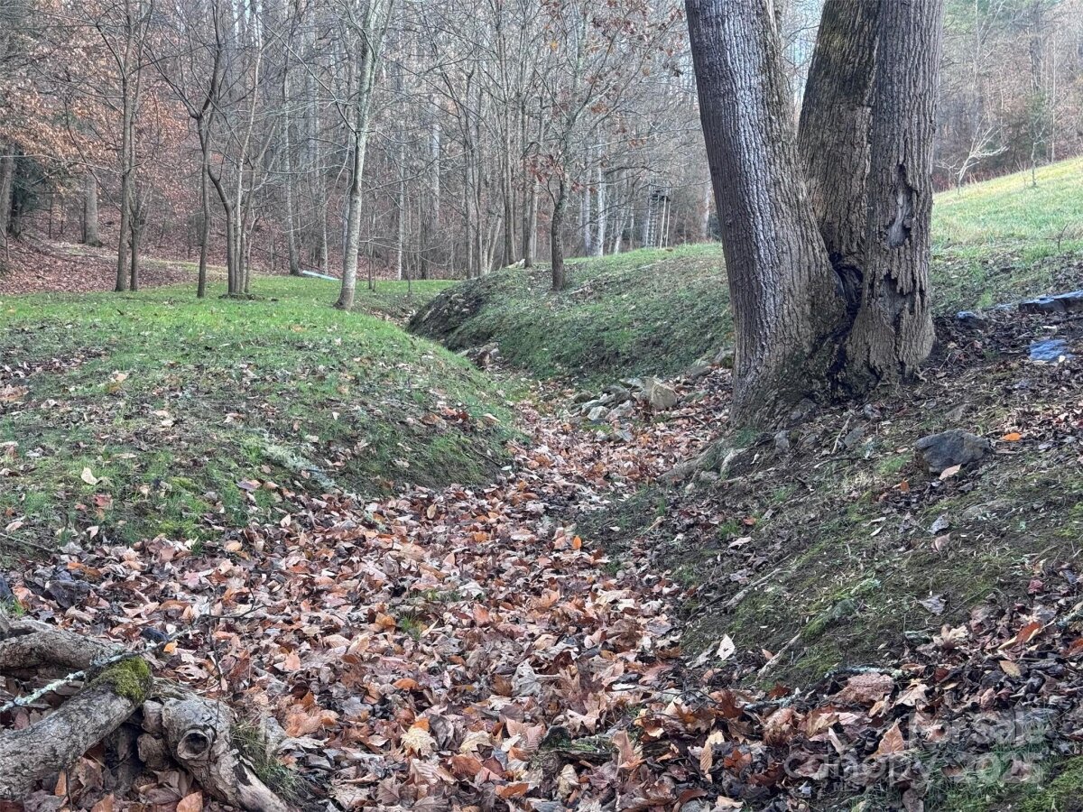 Marshall 16 4325219p