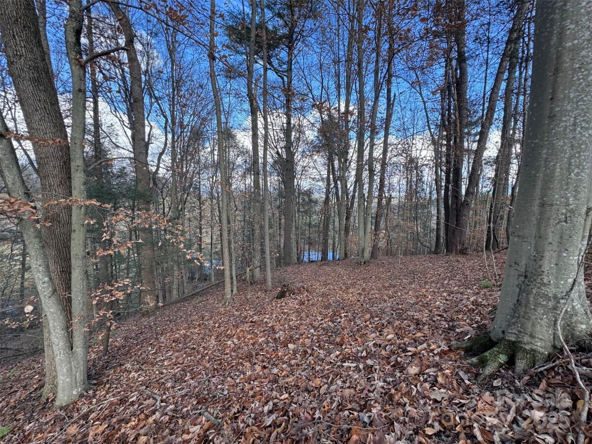 Marshall 17 4325219q