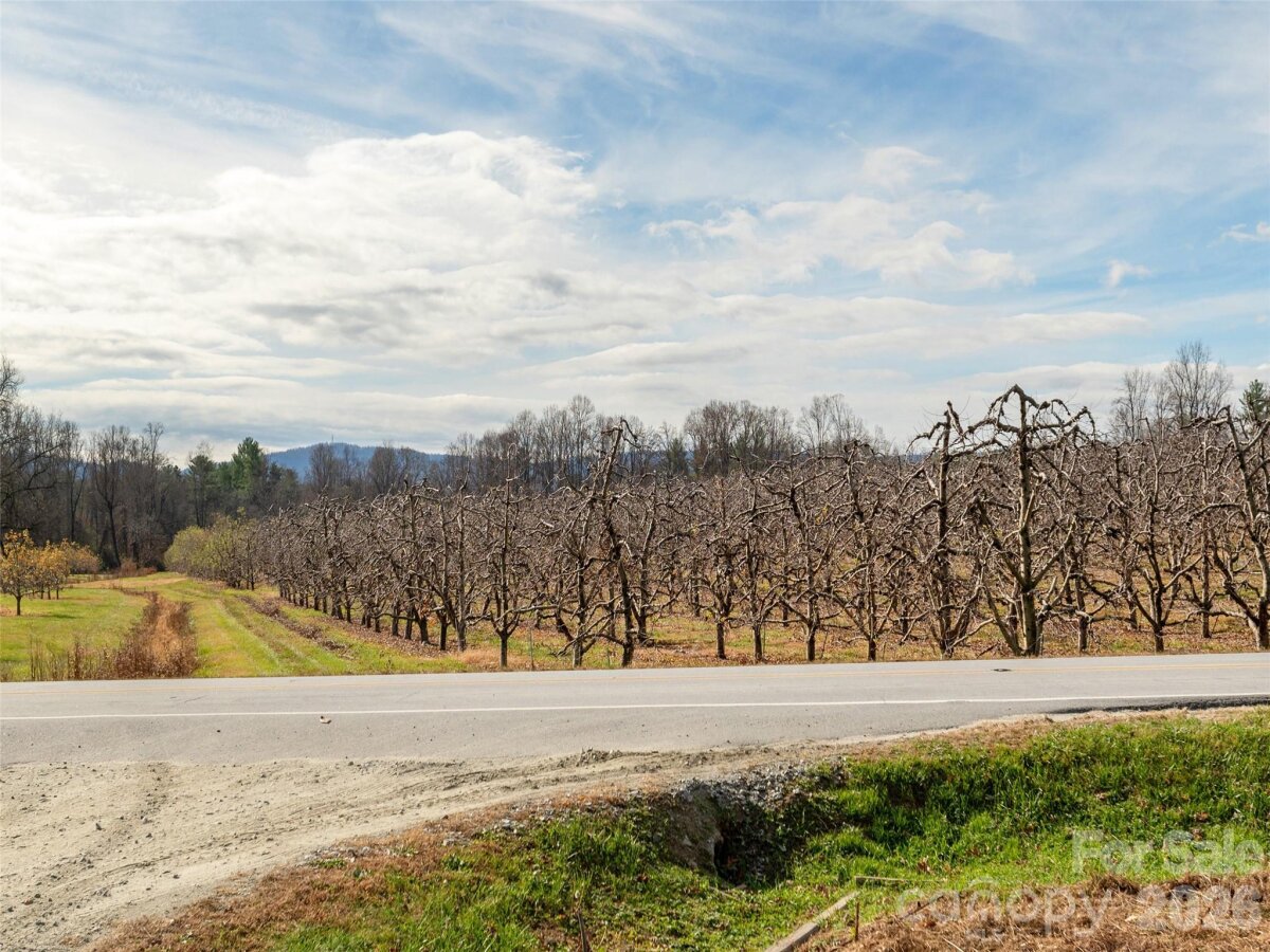 Flat Rock 19 4325228s