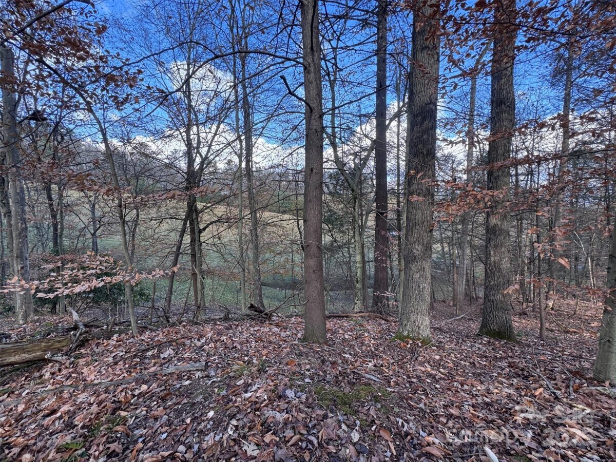 Marshall 17 4325248q