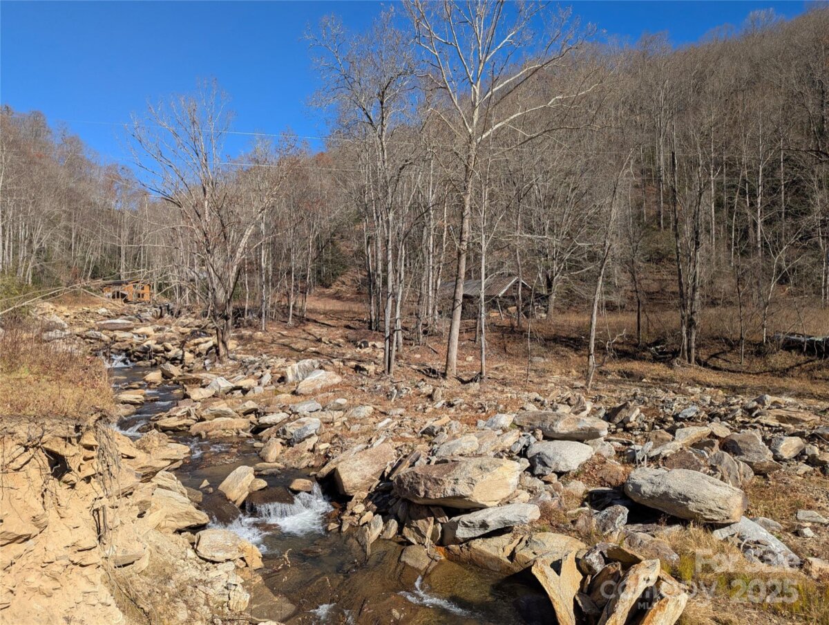 Black Mountain 4 4325345d