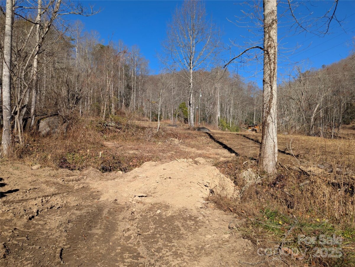 Black Mountain 6 4325345f