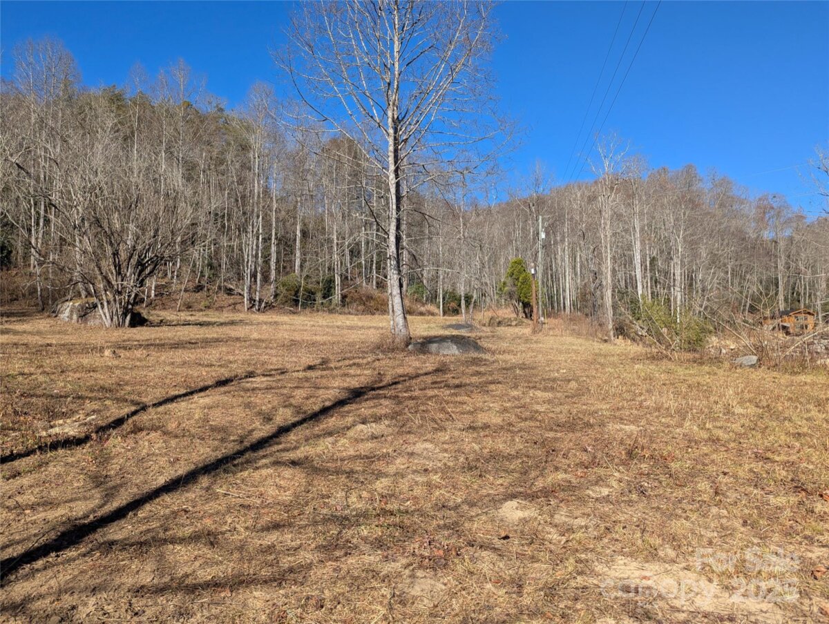 Black Mountain 7 4325345g