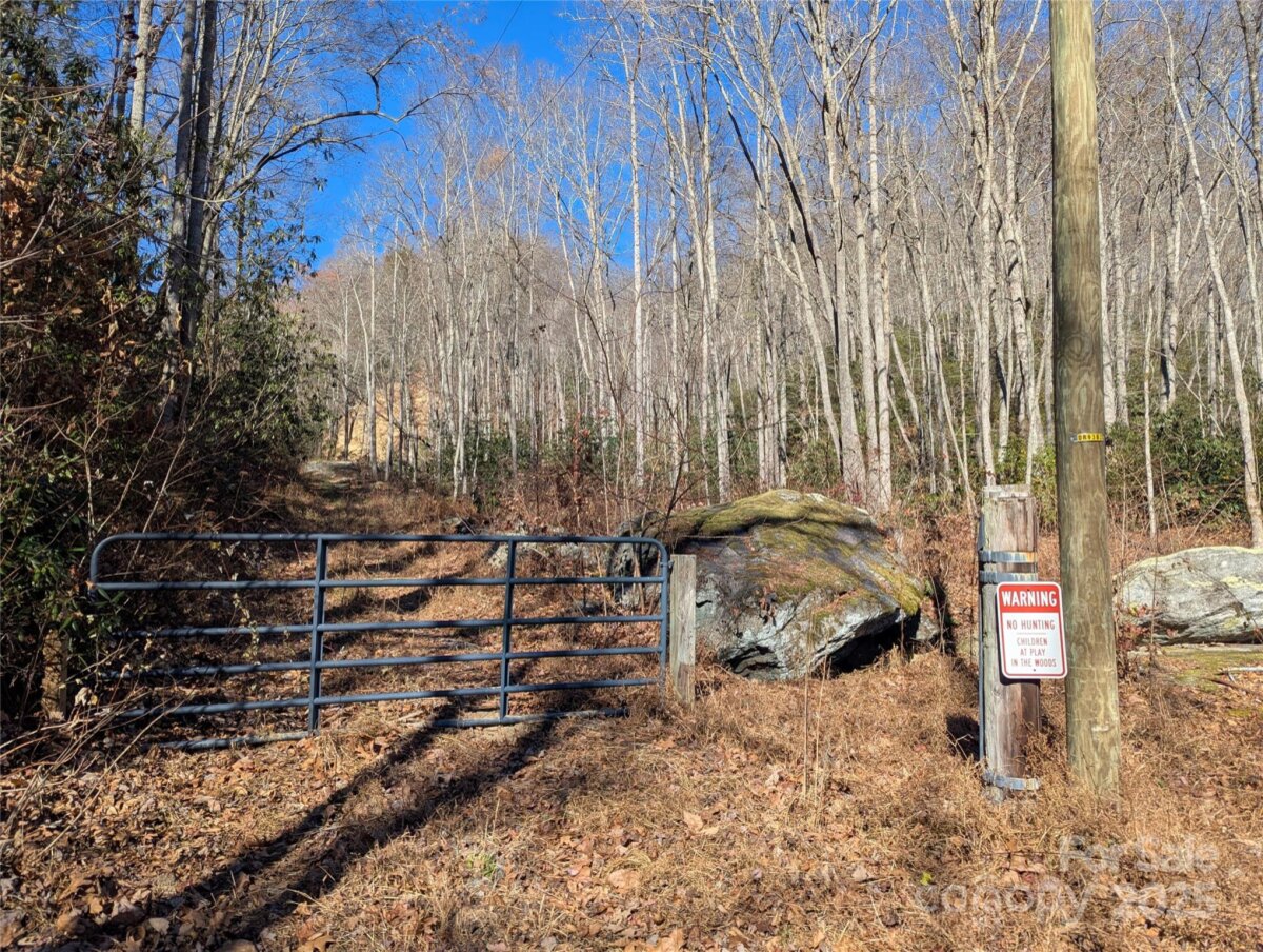 Black Mountain 14 4325345n